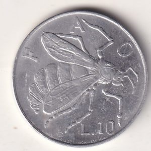 fgf